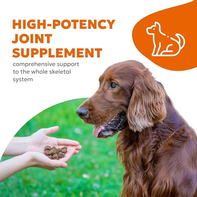Dog Hip & Joint Supplement Soft Chews – Advanced Mobility & Comfort Support – Glucosamine, Chondroitin, MSM, Turmeric, Boswellia, Collagen – 60 Count