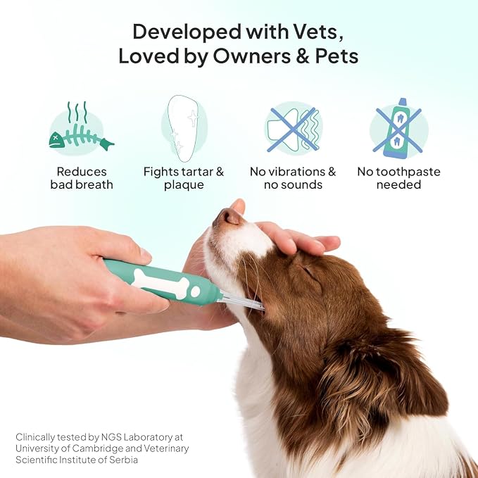 Electric Dog Toothbrush Small | Silent and Vibration-Free | Vet-Developed Electrolytic Technology | No Toothpaste Needed | Built-in Timer and App | Small Brush Head for Dogs Under 22 lbs