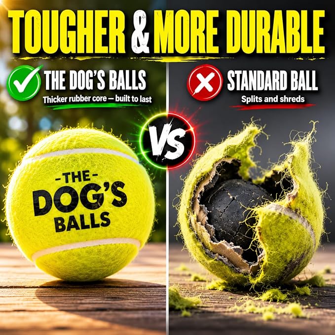 The Dog's Balls Dog Tennis Balls Tough 2.5" 12-Pack Yellow Floats in Water | Our fetch balls combine non-abrasive felt exterior and a thicker rubber core Durable Dog Toy for Outdoor Play & Training