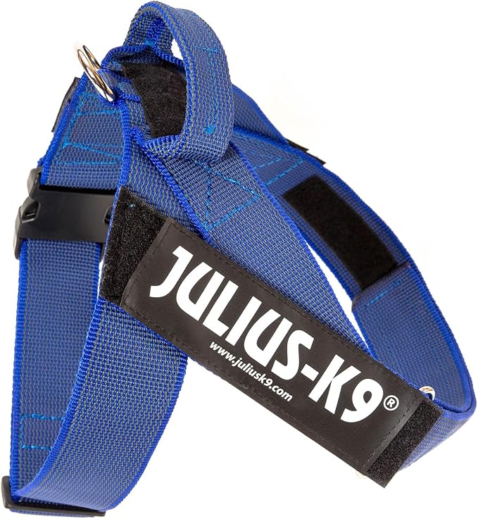 Julius-K9 IDC Color & Gray Belt Harness, Size: L/1, Blue-Gray