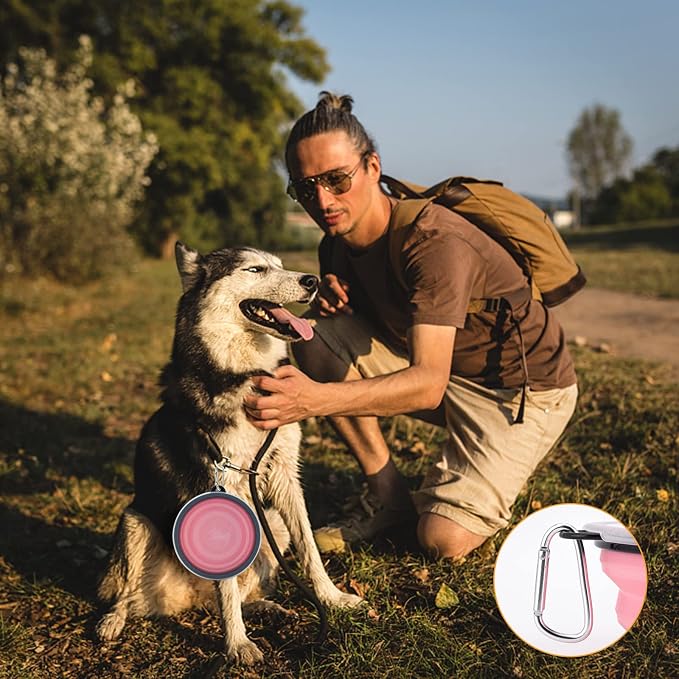 SLSON Dog Bowls Collapsible with Cover Lids, 2 Pack, Fairy Pink and Sprout Green, Large