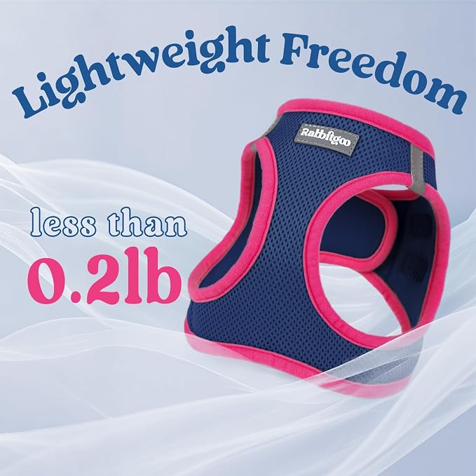 rabbitgoo Dog Harness Small Sized and Leash Set, Step in Soft Vest | Breathable Mesh, Easy Wear with Hook & Loop, Light and Reflective for Walking, Multi-colored, Navy Blue & Rose Red, S
