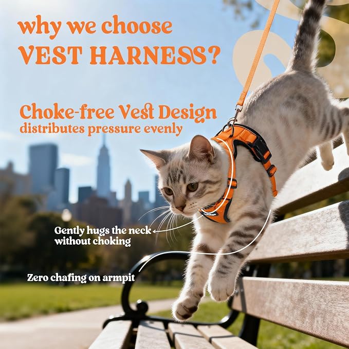 rabbitgoo Cat Harness and Leash Set, Escape Proof Vest, Orange | Soft Breathable Mesh, Easy Adjustable Fit, Snap Buckles, Sturdy Clip, Reflective Strips, for Small & Average Cats Walks, Xs