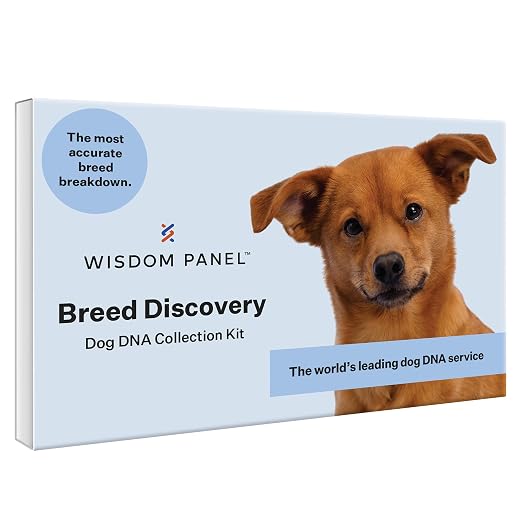 Wisdom Panel Breed Discovery DNA Test Kit