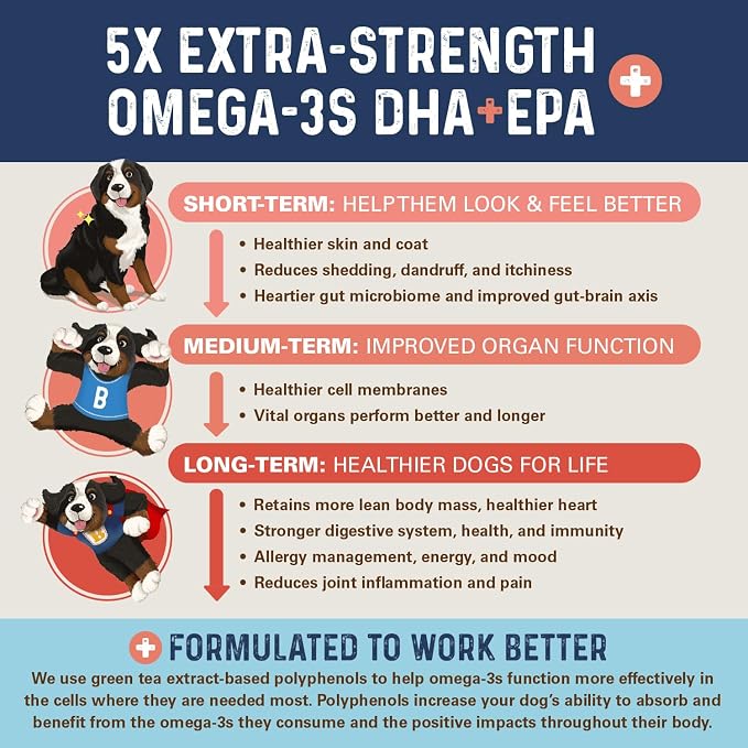 Bernie's OMG Omegas 5X Extra Strength Dog Omega-3 Soft Chews, Salmon, 90 Ct