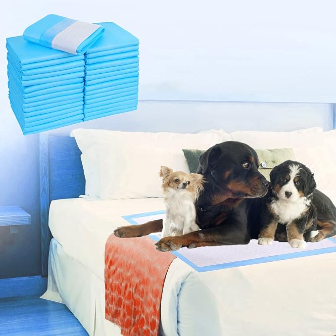 Extra Large Puppy Pads,36"x36" Pee Pads for Dogs,50 Count Training Dog Pee Pads Absorbent & Leak-Proof &Quick Dry,Disposable Pet Potty Pads for House Training Dogs Cats, Rabbits.