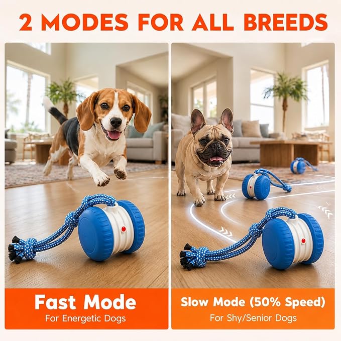 (2 Pack) Interactive Dog Toys for Small Dogs — Boredom Relief & Indoor Enrichment, Automatic Rolling Ball with Rope, Motion Activated Self Moving Dog Toy (Blue + Orange)