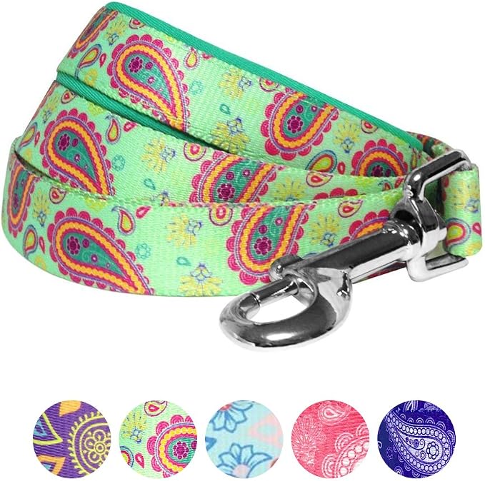 Blueberry Pet 5 Colors Paisley Flower Print Dog Leash with Soft & Comfortable Handle, 5 ft x 5/8", Emerald Green, Small, Leashes for Dogs