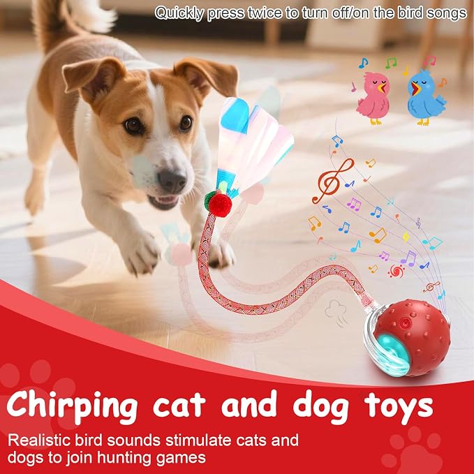 Interactive Cat Toys Smart Ball for Cats & Dogs! Now with 2 Rapid Tails. Features: 360°Auto-Rolling, Motion Activation& Bird Sounds. Perfect for Indoor Pet Exercise & Fun. (Red1)