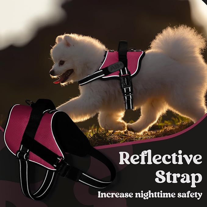 rabbitgoo Dog Harness for Large, Easy On Pet Vest with One Buckle, No Pull Adjustable Service Harness with D-Ring & Handle, Reflective for Safety Walking, Training, Pink, L
