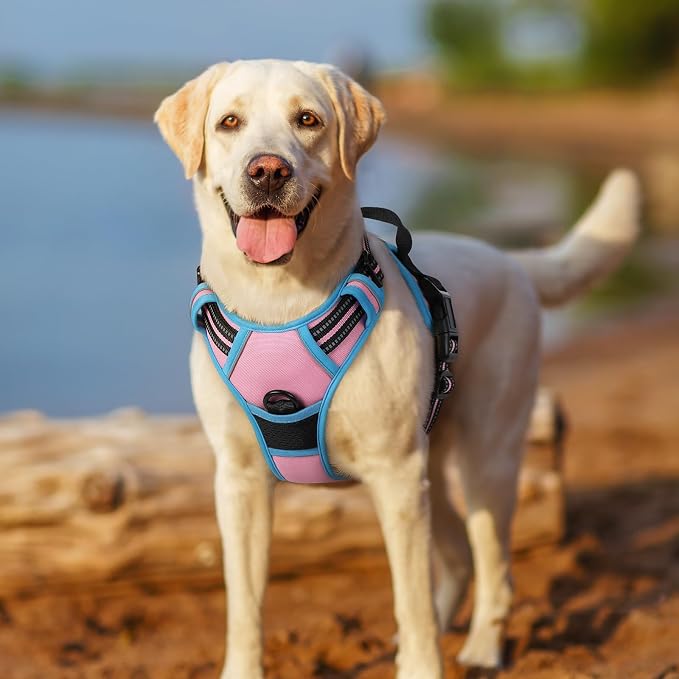 rabbitgoo Dog Harness, No Pull for Large Dogs with 2 Leash Clips, Pet Vest | No Choke with Handle, Adjustable Soft Padded, Reflective, Easy Control for Walking, Pink & Blue, X-Large