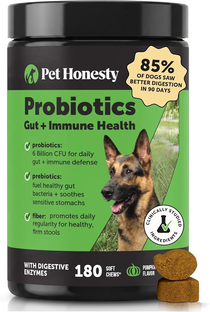 Pet Honesty Probiotic Chews for Dogs - Pumpkin, 180ct