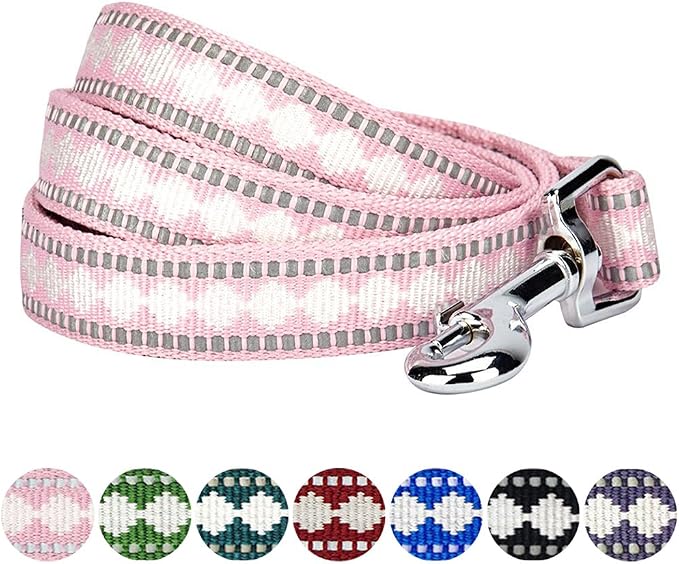 Blueberry Pet 3M Reflective Jacquard Dog Leash with Soft & Comfortable Handle, 5 ft x 3/4", Pink, Medium, Leashes for Dogs