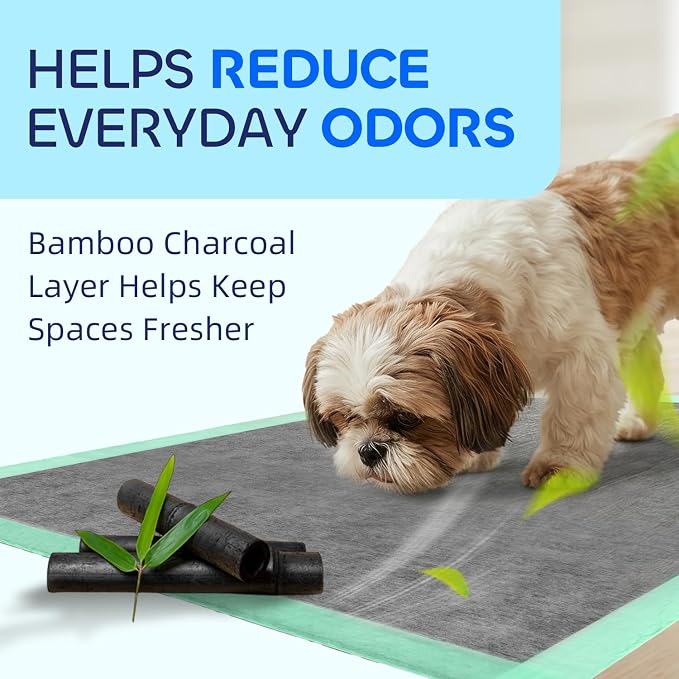 Pawtasy Charcoal Dog Pee Pads XXL, 50 Count,28" x 34" Extra Large Disposable Puppy Training Pads with Bamboo Charcoal Odor Control, 5-Layer Super Absorbent & Leak-Proof Pet Potty Pads for Dogs, Cats