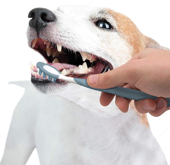 Nylabone Advanced Oral Care Senior Dog Dental Kit Small Dog