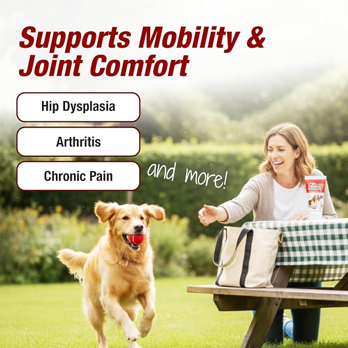 Pet Pain Away All Natural Dog Arthritis Pain Relief Gel, Cat Pain Relief, Dog Pain Relief Anti Inflammatory, Dog Joint Pain Relief, Homeopathic Pain Reliever for Large and Small Dogs and Cats (2-Pack)