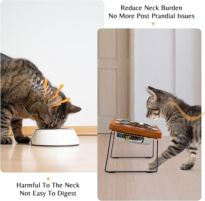 Elevated Cat Bowls for Food and Water - Loplurea 15° Tilted Raised Stainless Steel Cat Food Bowl with Brown Bamboo Stand and Anti Vomit Feeding Station for Indoor Kittens and Pet