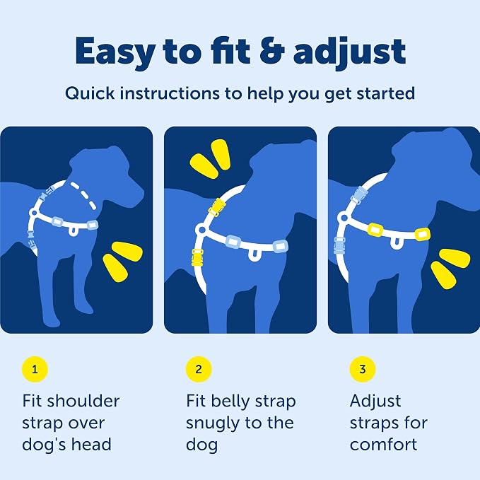 PetSafe Easy Walk No-Pull Dog Harness - Ultimate Harness to Help Stop Pulling - Pull-Free Walks - Take Control & Teach Better Leash Manners - Patented Martingale Loop Design - Red, Small/Medium