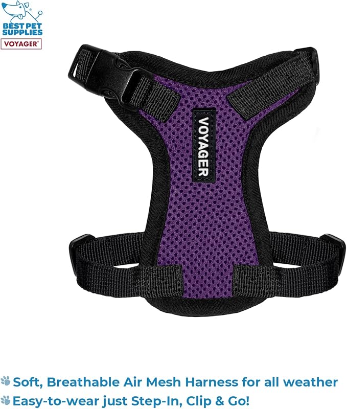 Best Pet Supplies Voyager Step-in Lock Pet Harness w Reflective Pet Leash Combo Set with Neoprene Handle 5ft - Supports Small, Medium and Large Breed Puppies/Cats - Purple/Black Trim, XXXS