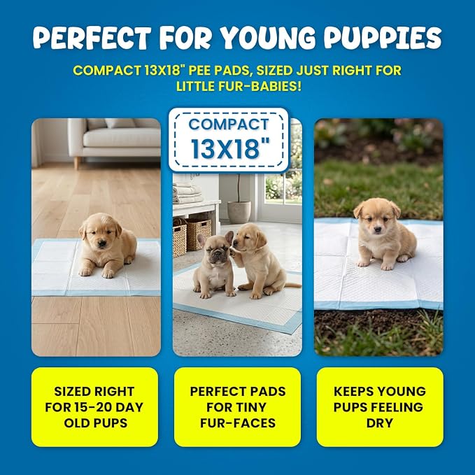 Kashmir FPN Pee Pads for Puppy and Dogs Training Pads (300 Count Pads) Heavy Duty Dog Pads, 5 Layer Pads for Instant Absorption (Blue) (13x18 Inches, 300)