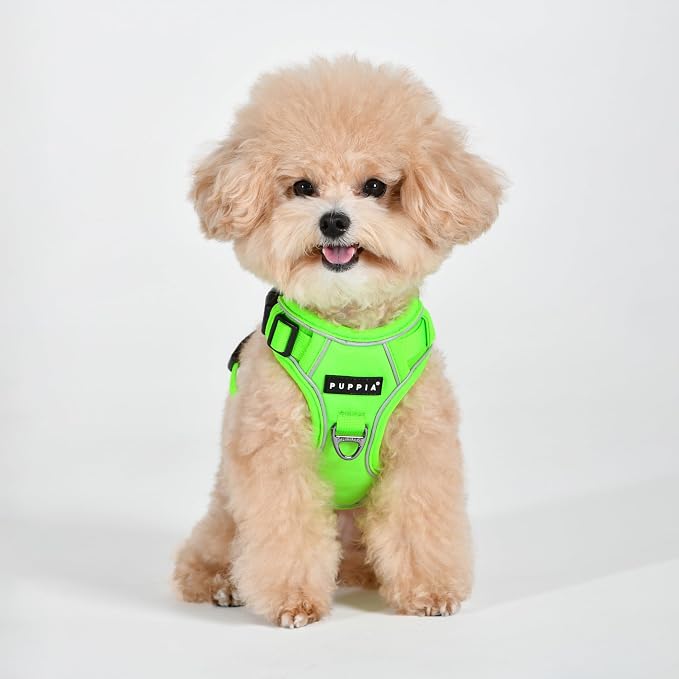 Puppia Neon Dog Harness H Sturdy Adjustable Neck and Chest Reflective Front and Back D-Ring for Small and Medium Dogs, Green, Large