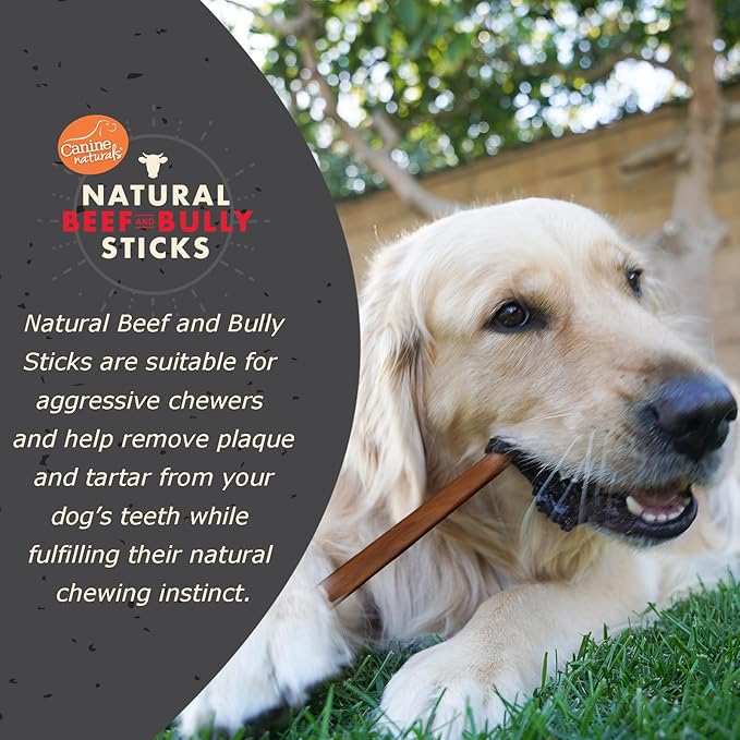 Canine Naturals | Natural Beef & Bully Sticks | Long-Lasting, Odor Free, High Protein Chews Made with 100% Real Bully | 4 Count Large Sticks