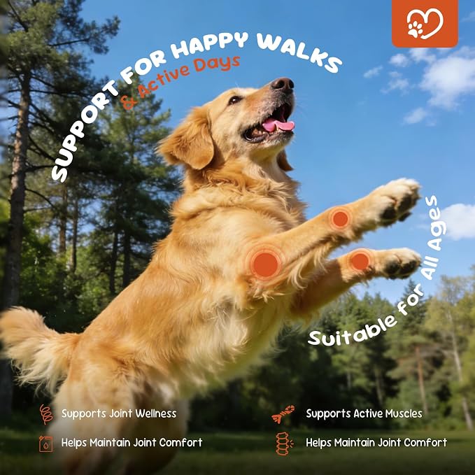 Dog Joint Support Supplement – Glucosamine, Chondroitin & MSM for Hip & Joint Function Support, Flexibility, and Daily Activity – 200 Soft Chews