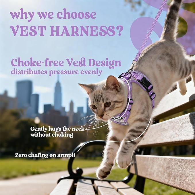 rabbitgoo Cat Harness and Leash Set, Escape Proof Vest, Purr-ple Daisy | Soft Breathable Mesh, Easy Adjustable Fit, Snap Buckles, Sturdy Clip, Reflective Strips, for Medium to Large Cats Walks, M