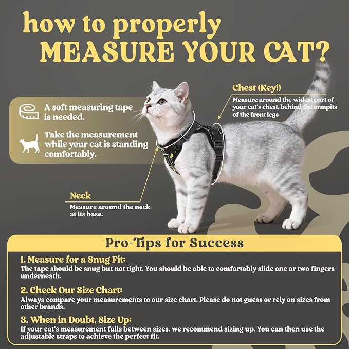 rabbitgoo Cat Harness and Leash Set, Escape Proof Vest, Lunar Prowl | Soft Breathable Mesh, Easy Adjustable Fit, Snap Buckles, Sturdy Clip, Reflective Strips, for Kittens & Small Cats Walks, Xxs