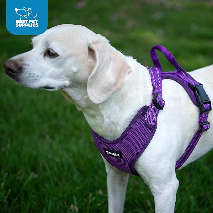 Air Frontier Mesh Dog Harness with Steel Leash D-Ring, Reflective Stitching, and Lightweight Breathable No-Pull Design, Adjustable Neck and Chest Straps for Small to Large Breeds - PPW, XS