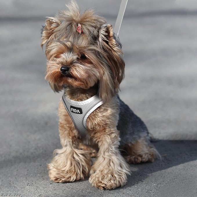Fida Comfy Dog Harness with Leash, Soft Puppy Vest Escape Proof, Breathable Lightweight Soft Mesh, Adjustable Reflective Step-in Harness for Small & Medium Pet Walking (M, Grey)