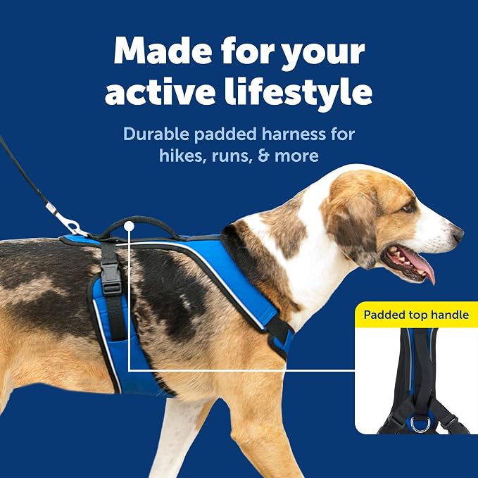 PetSafe EasySport Dog Harness, Blue, Large | Padded, Elastic Neckline Harness for Active Dogs, Reflective Piping for Visibility, Top Control Handle, Rear Leash Clip