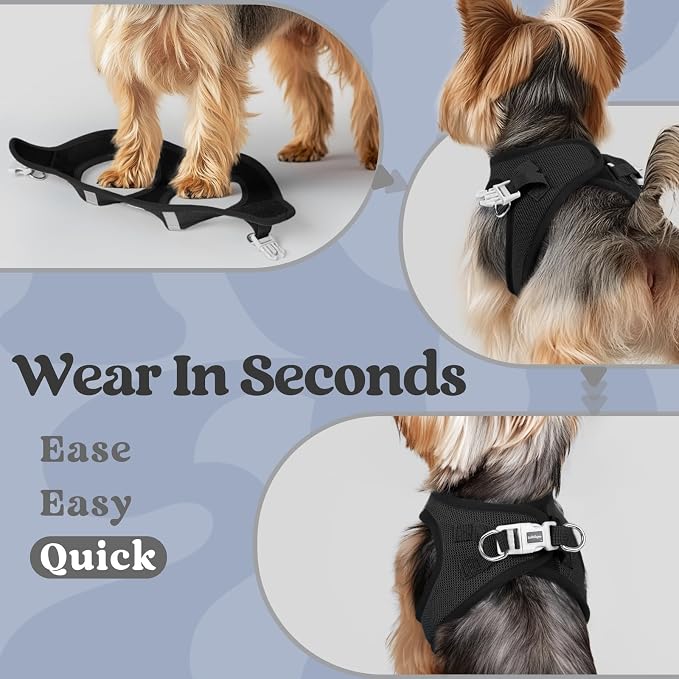 rabbitgoo Step-in Small Dog Harness, Puppy Vest for Medium Sized Pet | Easy Put on and off, Lightweight, Soft, Breathable Quick-Dry Air Mesh for Comfortable Secure Walking, Black XXL