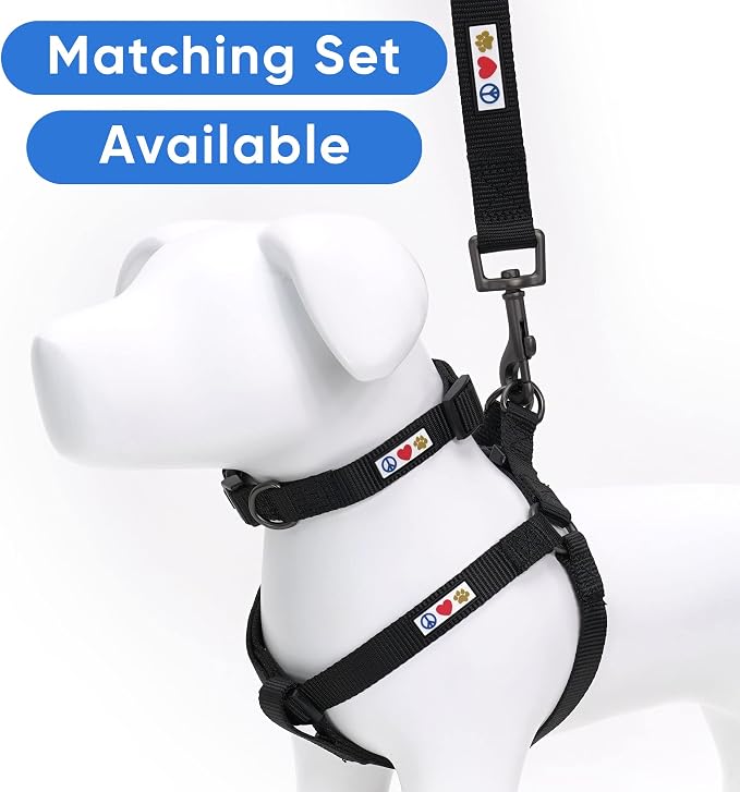 Pawtitas Solid 6 ft Black Dog Leash XXS/Cat Custom Name and Phone Embroidery Strong Nylon Leash for Small Breeds