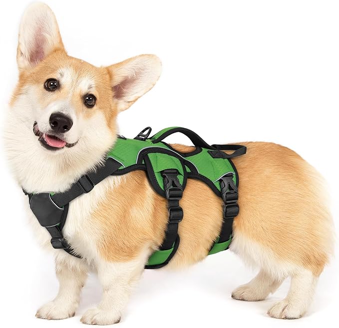rabbitgoo Escape Proof Dog Harness for Small, No Pull with Lift Handle | No Escape, Full Soft Padded, Reflective Adjustable Vest, Leash Clip for Walking Hiking Training, Green, Small