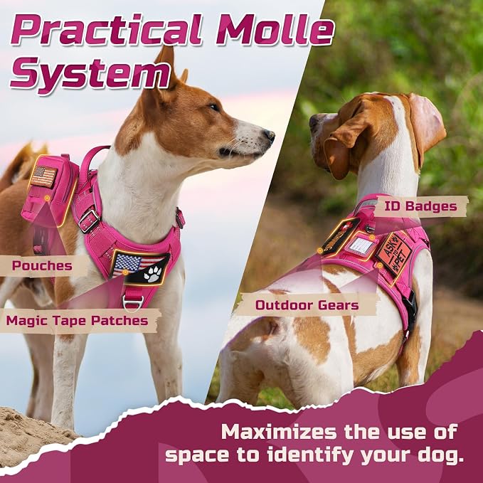 rabbitgoo Tactical Dog Harness for Medium, No Pull Military Service Vest | Molle & Handle, Heavy Duty, Adjustable, Reflective Straps, Easy Control for Training Walking, Rose Red, Medium