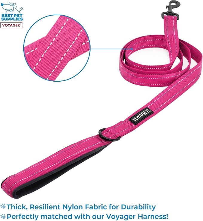 Best Pet Supplies Voyager Step-in Lock Pet Harness w Reflective Pet Leash Combo Set with Neoprene Handle 5ft - Supports Small, Medium and Large Breed Puppies/Cats - Fuchsia, XXS