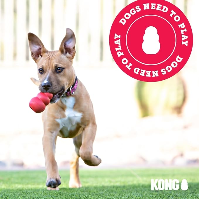 KONG Flyer - Durable Dog Toy for Outdoor Playtime - Natural Rubber Flying Disc, Dog Toy for Fetch - Safer Disc for Healthy Activity - for Small Dogs (Pack of 3)