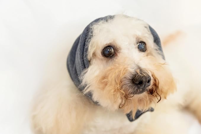 Dog Snood Ear Protector, Anxiety Ear Cover Anxiety Relief – Noise Canceling for Fireworks, Pet Grooming & Force Drying Grey M