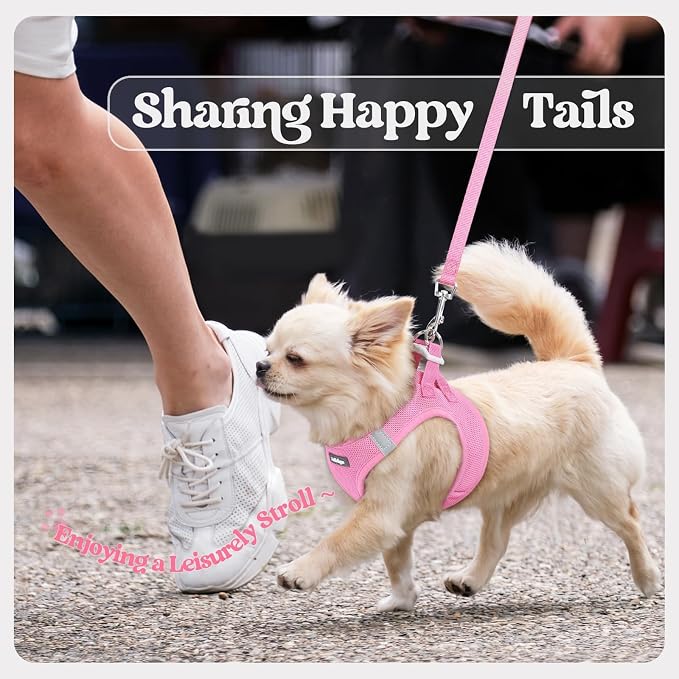 rabbitgoo Dog Harness Medium Sized and Leash Set, Step-in Puppy Pet Vest | Light, Soft, Breathable Air Mesh, Easy on and Remove with Hook & Loop, Secure Reflective for Walking, Light Pink L