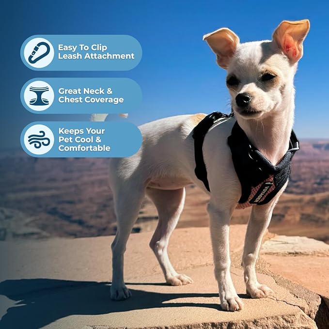 Voyager Step-in Lock Dog Harness - Pink/Black Trim, Small | 15 - 18" in Chest, Adjustable, Breathable Air Mesh, Lightweight for Daily Walks, Strong Clips, Heavy Duty D-Ring