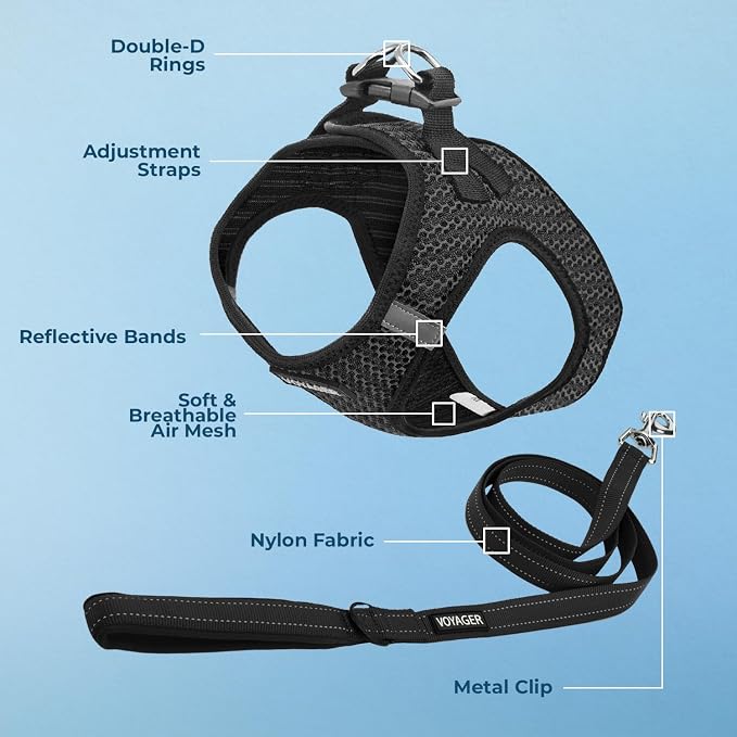 Best Pet Supplies Voyager Step-in Air All Weather Mesh Harness and Reflective Dog 5ft Leash Combo with Neoprene Handle, for Small, Medium and Large Breed Puppies - Gray 2-Tone, Medium
