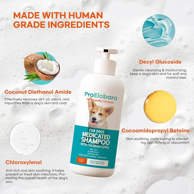Medicated Dog Shampoo for Allergies and Itching: Antifungal Dog Shampoo, Yeast Infection and Bacterial Treatment for Dogs - Helps Hot Spots, Deodorizing and Anti Itch - Healthy Skin & Coat (Pack of 2