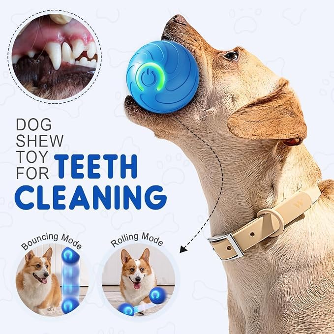 Teamoda Dog Ball 2Pcs, 2025 Interactive Dog Toys for Small and Large Dogs, USB Rechargeable Durable Motion Activated Automatic Rolling Ball Toys (Blue)