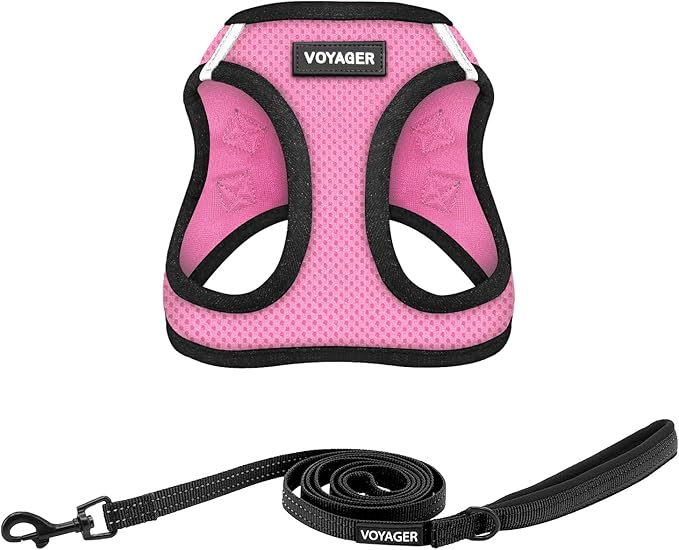 Best Pet Supplies Voyager Step-in Air All Weather Mesh Harness and Reflective Dog 5ft Leash Combo with Neoprene Handle, for Small, Medium and Large Breed Puppies - Pink/Black Trim, XX-Small
