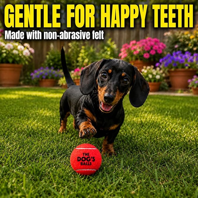 The Little Dog’s Balls Small Dog Tennis Balls 6-Pack Red Floats in Water | Our fetch balls combine non-abrasive felt exterior and a thicker rubber core Durable Dog Toy for Outdoor Play & Training