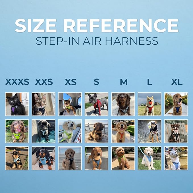 Best Pet Supplies Voyager Step-in Air Harness - All Weather Mesh, Reflective, No Pull Harness for Dogs, Cats - Secure with Hook & Loop Fastener, Buckle, Double D-Rings - Turquoise 2-Tone, L