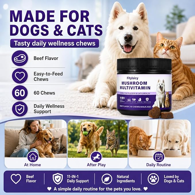 Mushroom Supplement for Dogs & Cats, 11-in-1 Pet Multivitamin Soft Chews, 13 Organic Mushrooms with Glucosamine, Chondroitin, MSM & Omega-3, Immune, Gut, Joint, Skin & Coat Support, Beef, 60 Count