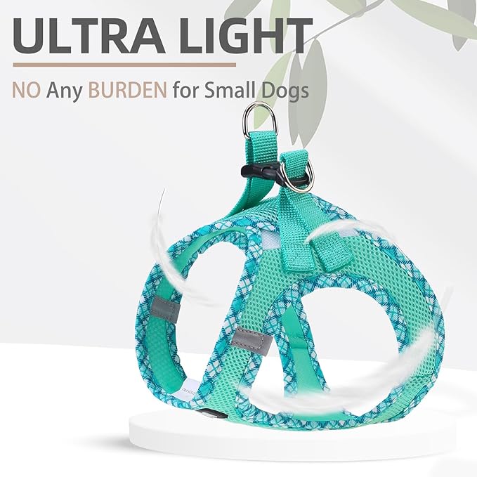 PUPTECK Dog Harness and Leash Set for Small Medium Dogs No Pull Step-in Soft Mesh Puppy Cat Vest Harnesses Reflective at Night, Green XS