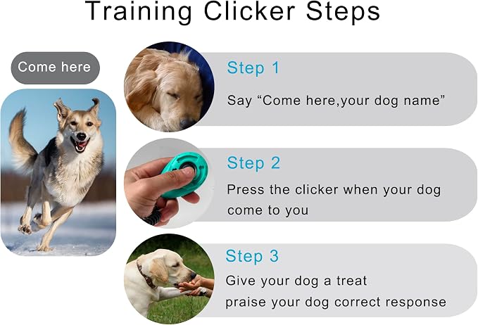 Pet Training Clicker with Wrist Strap, Aqua/Jade Green/Blue/Lime Green